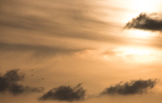 小孩做作業(yè)不專心老是拖拖拉拉的怎么辦