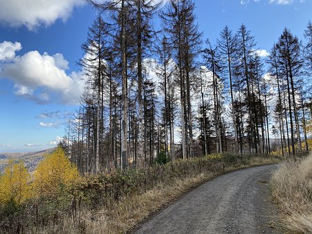 ��W����ԓ�úÿ����ĳ�������������̫������