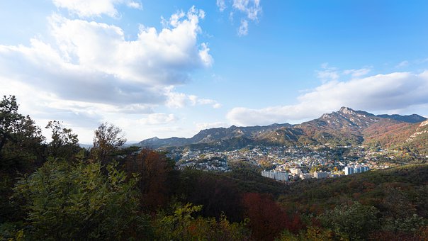 改善親子關系:如何引導孩子主動與家長溝通