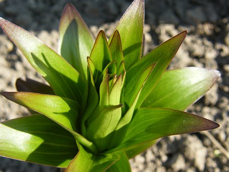 初中輟學可以上高中嗎