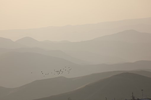 09���п�Ӣ�Z�俼ȫ���ԣ��������