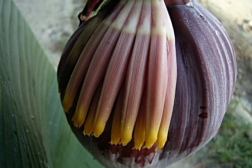 2012��֪����У��������ƴ������Ӌ����