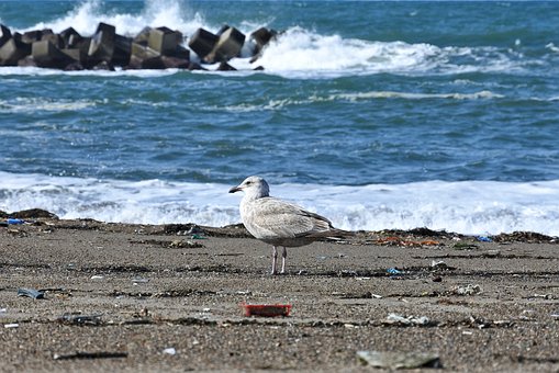 打罵對孩子和家長的影響及解決辦法