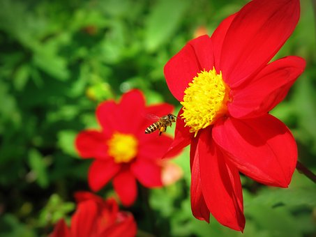 高中生早戀成績下降怎么辦