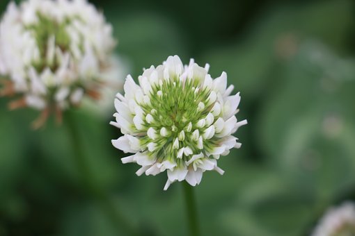 孩子是學(xué)樂器那塊“料”嗎?