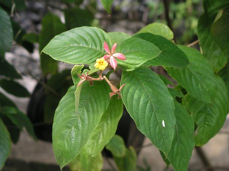 專家技巧:不同高中學生如何選大學