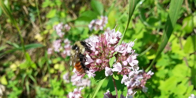 ���ꃺͯ��ˇ�W����������g�Ƕ��٣�