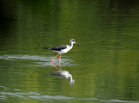 孩子六年級叛逆怎么辦