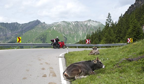 ���Ӗ�����ӵ�߉݋˼�S����