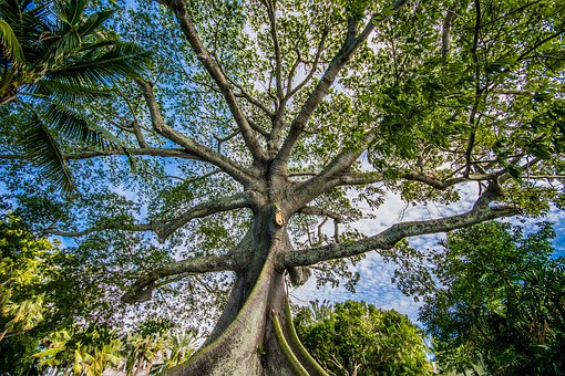 07ˇ�g(sh��)��������I(y��)��ԇ���³��M(j��n)��߳�