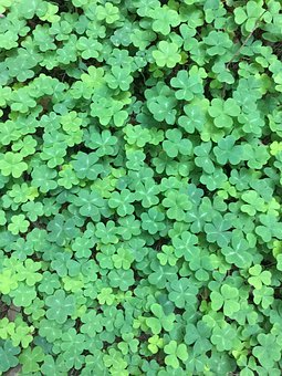 �ƶ��֙C(j��)ʹ���؄t���������ӽ���ʹ���֙C(j��)