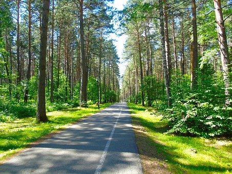 ���_��W��Щ�£��P�c�߾͘I���ߴ���ƌ��I