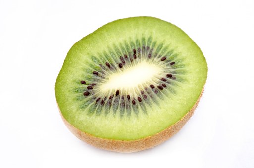 孩子不讓家長(zhǎng)檢查作業(yè)怎么辦