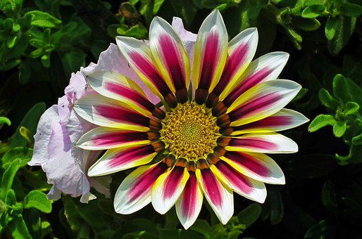 高三孩子偷偷買手機(jī)怎么辦