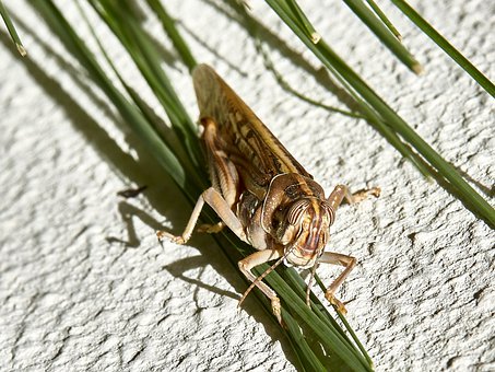理解和尊重孩子在青春期的挑戰