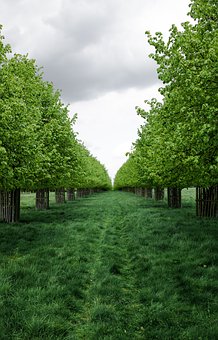 家長對孩子心理健康的重要性