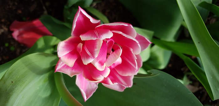 教育的目標:培養成功和有用的人才