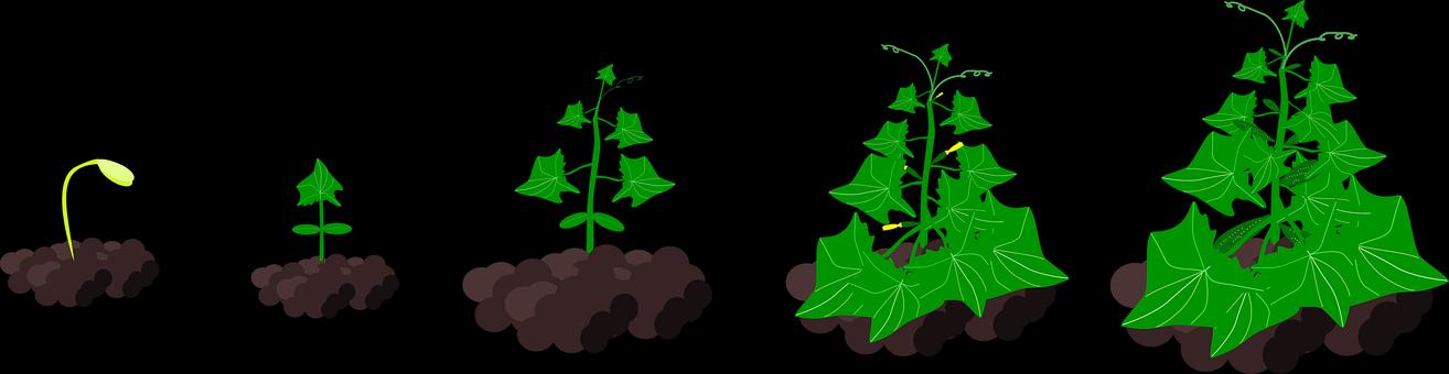 如何面對(duì)初中階段孩子的叛逆心理