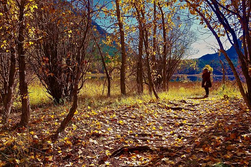 13歲孩子偷東西如何教育