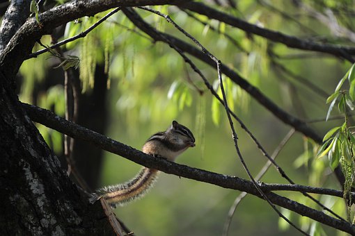 �����^��W(xu��)�������� ��W(xu��)�����Y�����r(n��ng)��