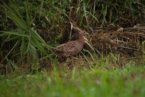 做題是學習的必須嗎?