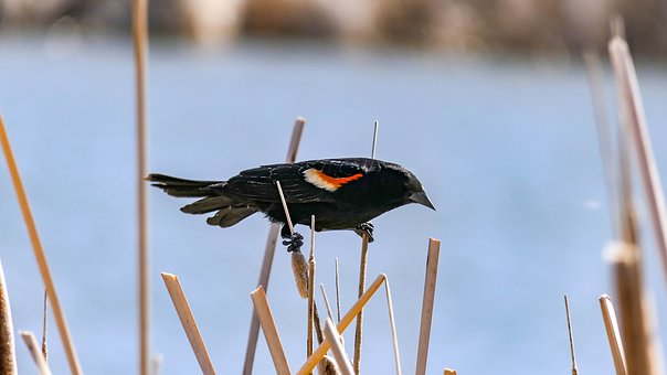 大學生不想上學怎么辦