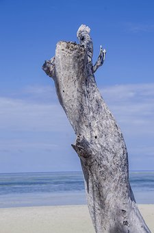 ���L���o���ӵ�һ����