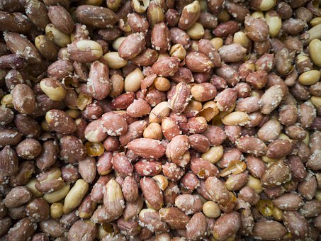 ��麢��������I�����B���õČW�����T