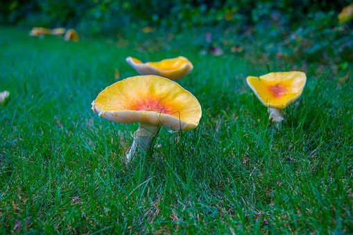 С�������όW(xu��)��ô�k