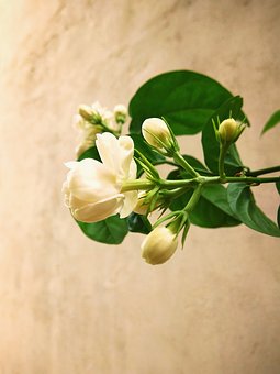 初一孩子不想上學怎么辦家長怎么處理