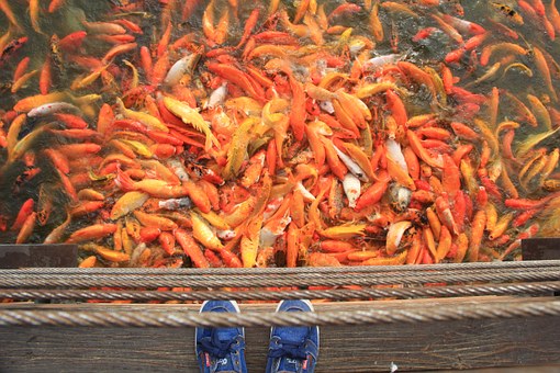 孩子六年級就有叛逆期了該如何是好呢