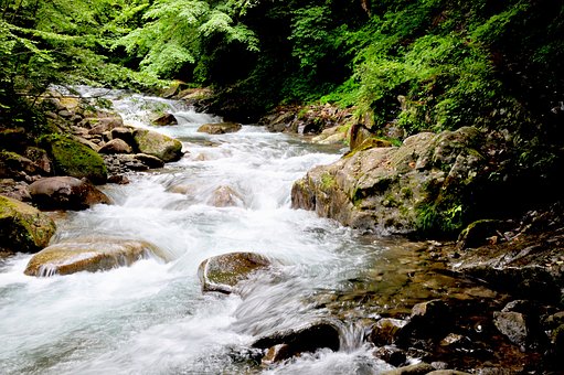 焦慮癥孩子拿媽媽身份證上網