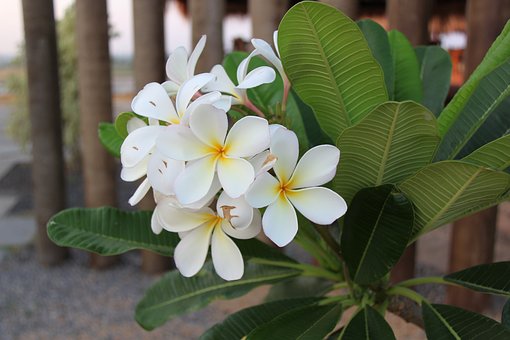 在給孩子請家教輔導中,家長不能當甩手掌柜,扮演什么角色更有助于提高效率?