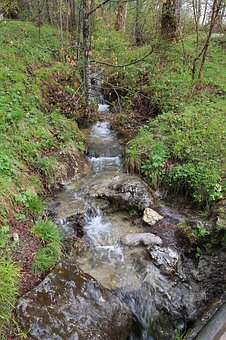 孩子為什么在學校聽話而在家不聽話