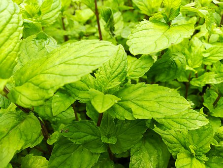 家長對孩子心理健康的建議