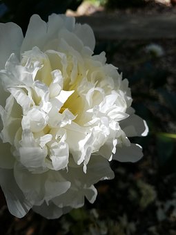 發(fā)現(xiàn)初三的孩子談戀愛怎么辦