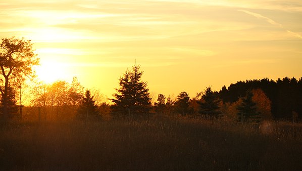 2009߿ӢZ_̣߷ӢZֻ岽