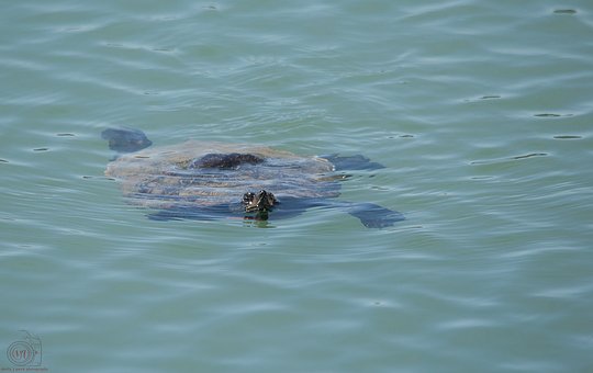 高二暑假最后的五十天:一個準高三生的實戰安排