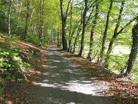 9�q�к��� ���L�ܽ���ô�k