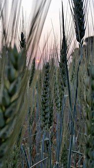 家長需要重新認識孩子,關注內(nèi)心需求