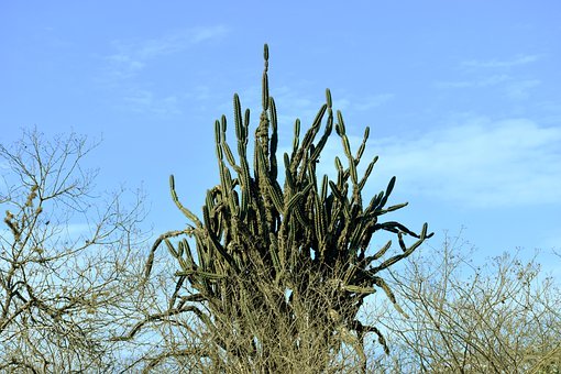 青春期的孩子談戀愛怎么教育和疏導