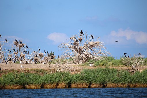 ��W(xu��)���ҽ�ԓ����c���L(zh��ng)�������Μ�ͨ��