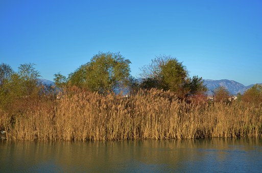 ���B�dȤ�ۺã��p�ٺ��ӌ��֙C����ه