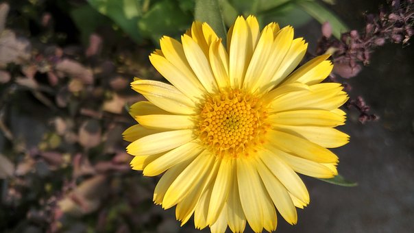 教育叛逆的孩子的方法:建立信任與尊重,成為真正的朋友