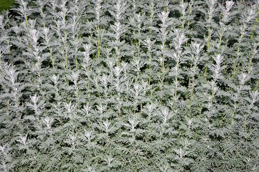 �������治�όW��ô�kʮ�ߚq