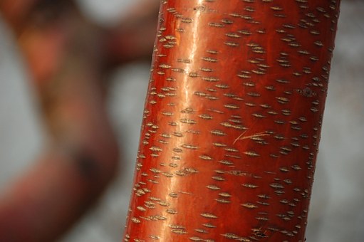 ���Ӻ�����̫����ô�k