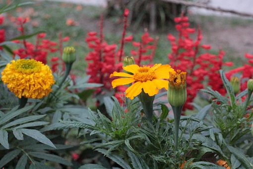 �������L׌�����ں��ِ�����x��С���У��܌��ã�