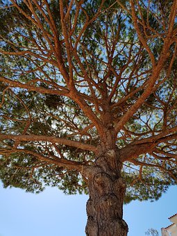 高中的孩子與同學(xué)相處不好怎么辦