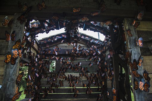 孩子叛逆需要看心理醫生嗎