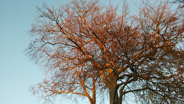 小學生沉迷網絡游戲的解決辦法